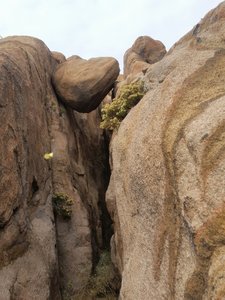 Can be viewed at the junction of the Rock Wall and Lost Wall trails. Interesting rock formations throughout.