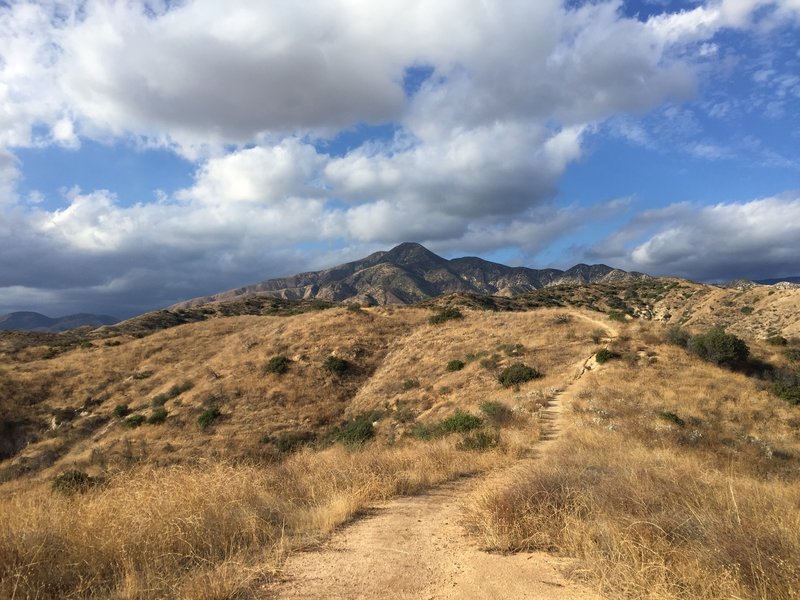 The view ahead, working up the trail.