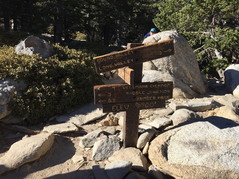 Trail junction marker, Wellman Divide