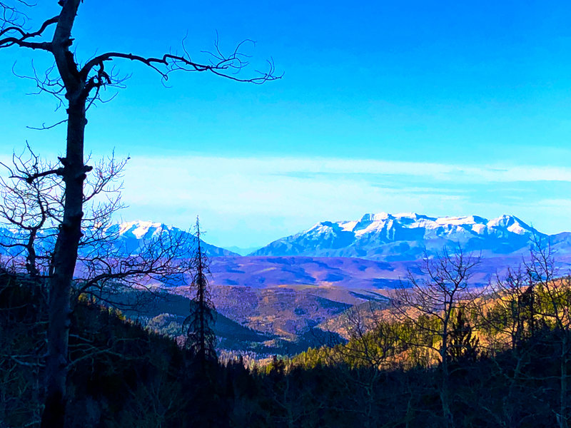 Mt. Timpanogos from upper part of Yellow Pine Trail.