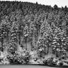 North side of the first reservoir covered in snow.