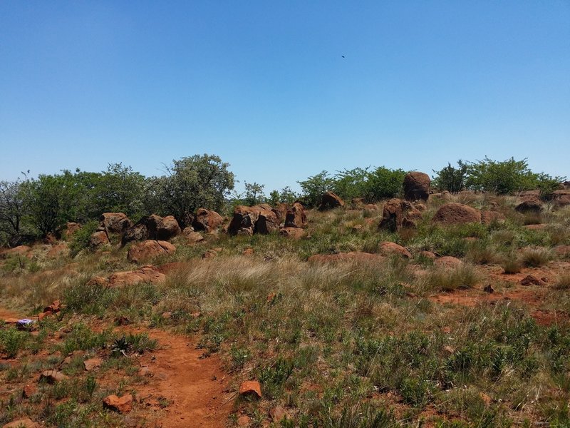 A view of the Legae Trail's gentle boulder hopping.