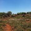 A view of the Legae Trail's gentle boulder hopping.