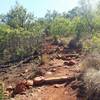 A view from the Ruins Trail ascent.