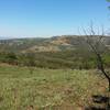 A view from the Ruins Trail.