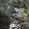 Parts of the trail are combination of stream bed. Trail has a chance of getting some feet wet. Because of under brush, path of least resistance is the trail.