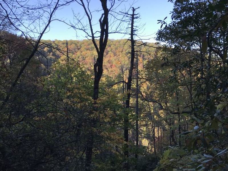 Every now and then you can get a view of a neighboring mountain side.