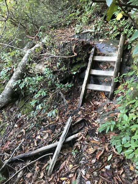 A view of the narrow trail and one of the small ladders found along the trail. There are larger ones as well in sections to climb up or down.