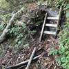 A view of the narrow trail and one of the small ladders found along the trail. There are larger ones as well in sections to climb up or down.