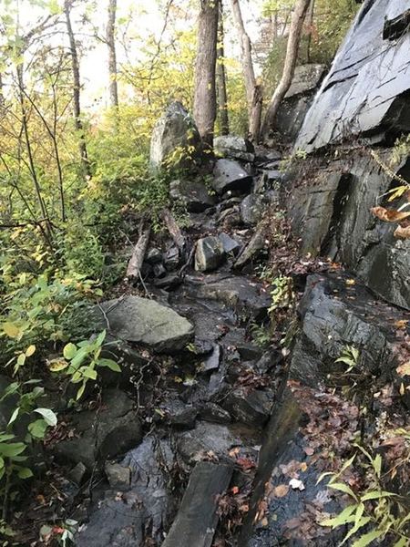 Part of the trail with a stream coming down it as well, chance of feet getting wet, slippery and some rocks rock a little, good section to have a walking stick.