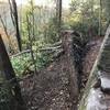 Damage from storm Irma passing by. Climb down rock ledge currently on to walk behind roots is the trail.