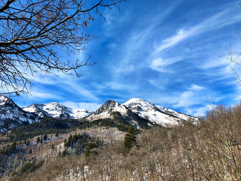 Box Elder Peak from Silver Lake Flat Connector Trail