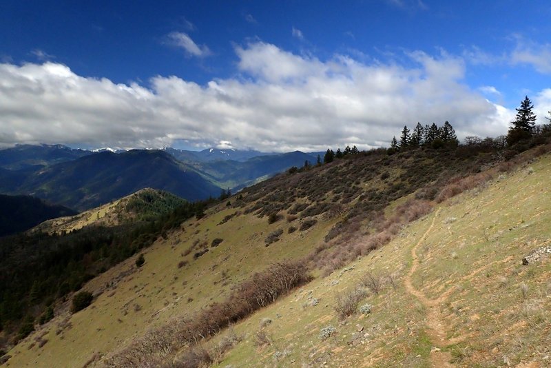 The Siskiyou Crest from the #918 Trail