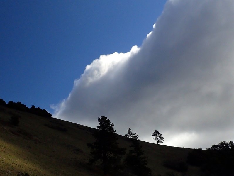 Looking up at the saddle south of Baldy Peak