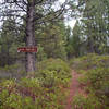 The southern trailhead of the #918 trail