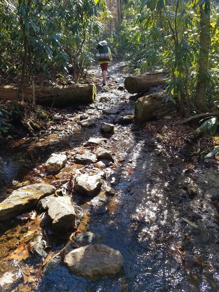 Trail and shallow brook coincide