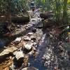 Trail and shallow brook coincide