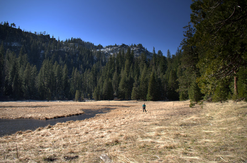 The big meadow at Frog Pond.
