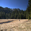 The big meadow at Frog Pond.