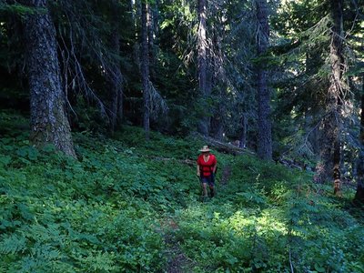 The lower reaches of the Elk Creek Trail