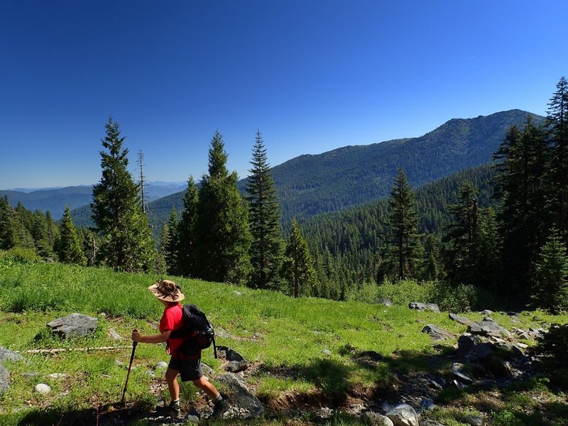 The view of Grayback Mountain from high on the Elk Creek Trail