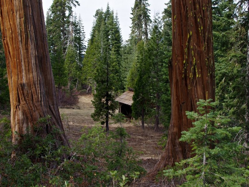 The Sucker Creek Shelter from the #1237 Trail.