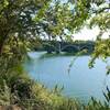 Downtown Austin Tour.