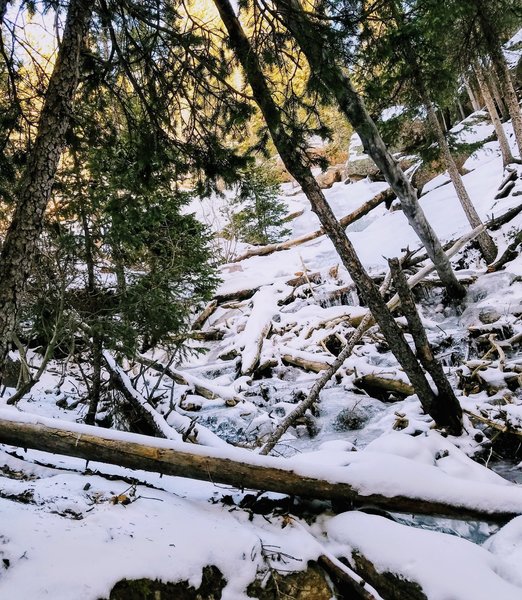 Lower part of the falls full of debris and iced over.