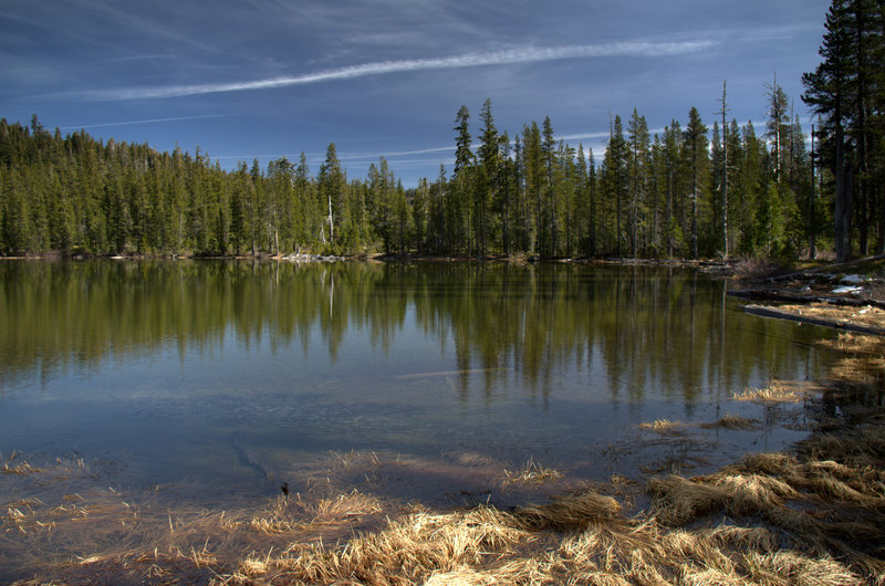 Azalea Lake