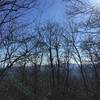 The lack of leaves allow a view from the peak of Mt Trayfoot.