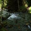 Lower Bear Gulch Creek at high water