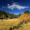 A meadow in Pine Creek Basin