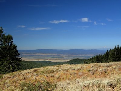 Mount Shasta from the end of the Pine Creek Trail