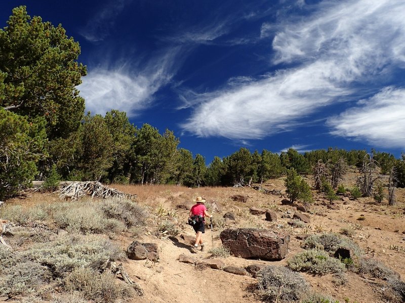 On the Summit Trail toward Patterson Lake