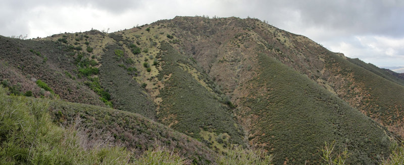 Eagle Peak seen from Back Creek Trail.