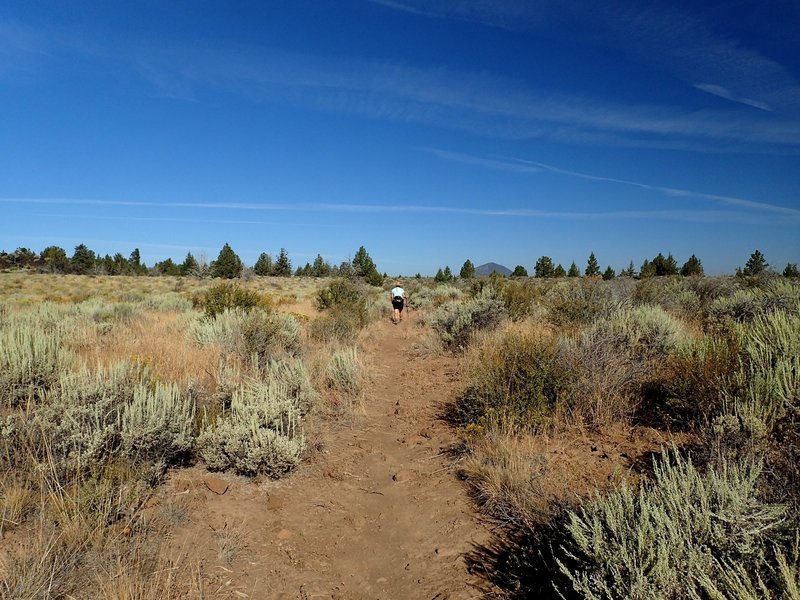 Start of the Whitney Butte Trail