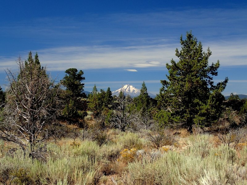 Mount Shasta from the trail