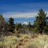 Mount Shasta from the trail