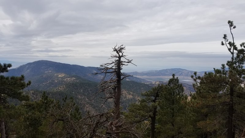 A view from near the summit of Tehachapi Mountain