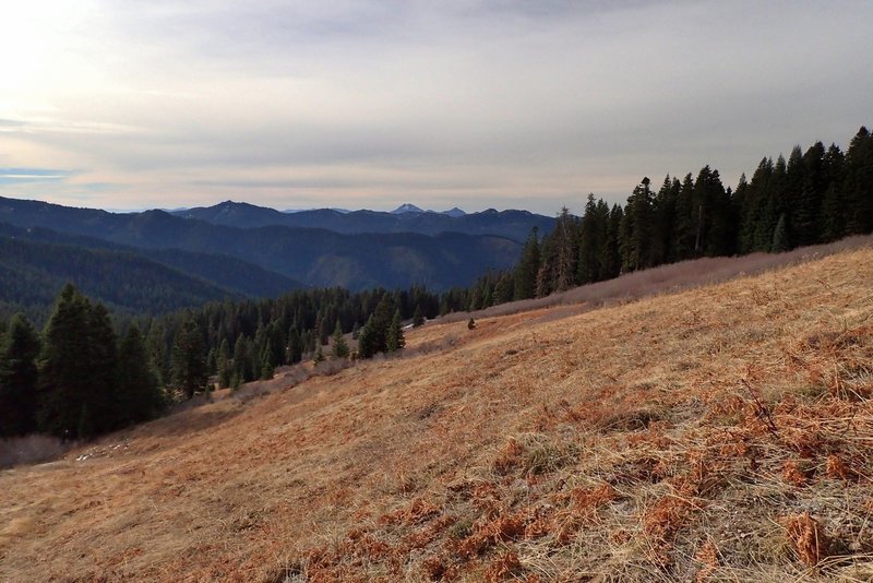 The meadow east of Lake Mountain; Preston Peak on the horizon