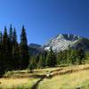 Sacajawea Peak from the #1807 trail