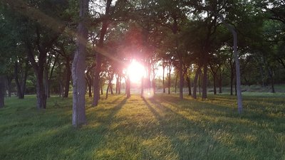 Exploring trails north of San Antonio International airport