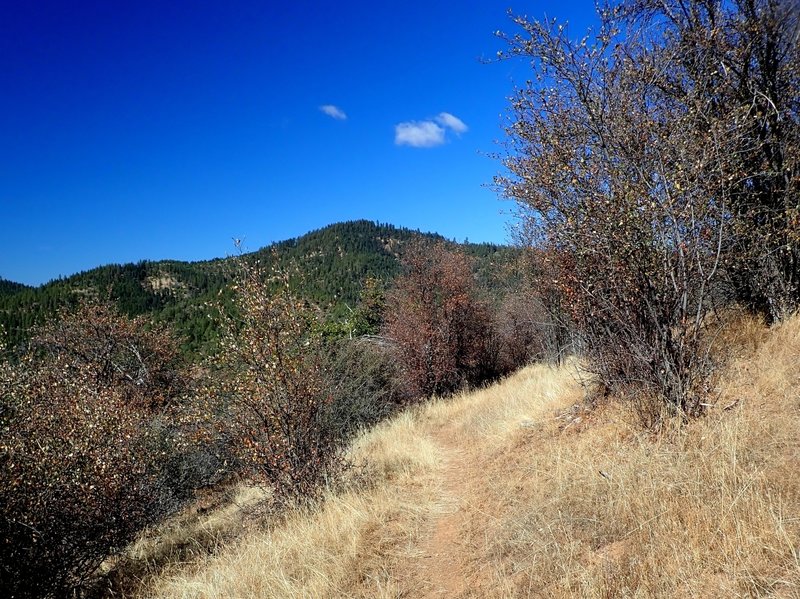 High up on the Grub Gulch access trail