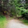 Grub Gulch Trailhead on BLM Road 38-2-26