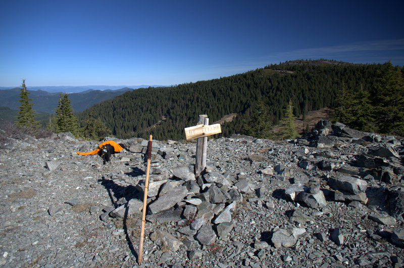 The summit of the higher Mt. Elijah, with Lake Mountain beyond.