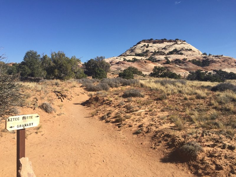 This is the junction of Aztec butte and the Granary. The butte ahead requires some rock scrambling to get up to the top.