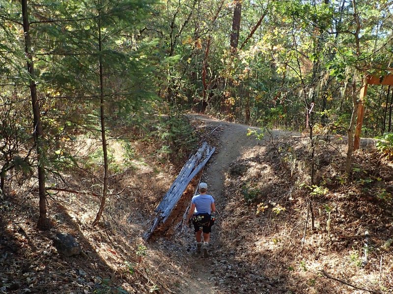 The Wolf Gap Access Trail ends at the Mine Ditch Trail