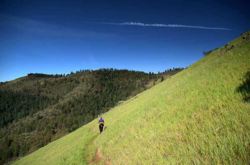 Down the trail in the Spring