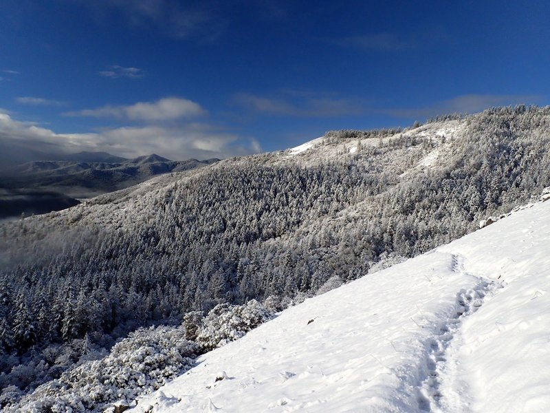 Down the trail in winter