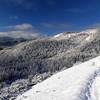 Down the trail in winter